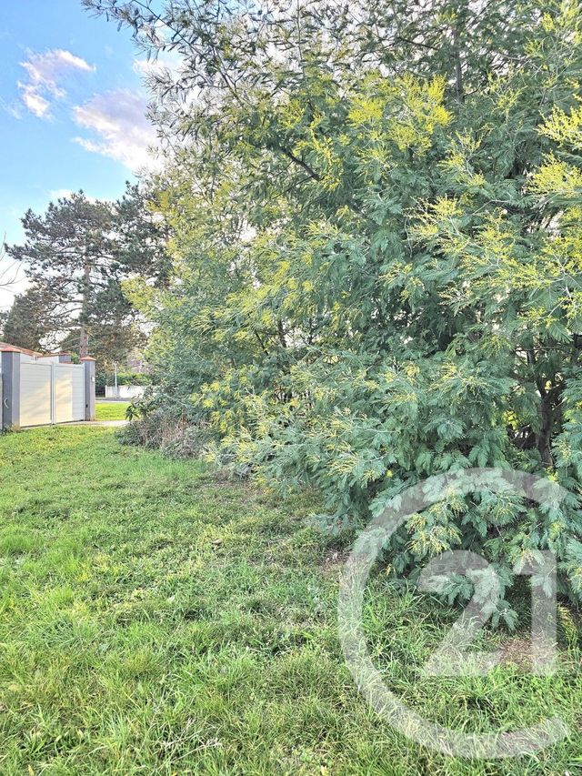 Afficher la photo en grand terrain à vendre - 402.0 m2 - BEAUZELLE - 31 - MIDI-PYRENEES - Century 21 Fly Immo